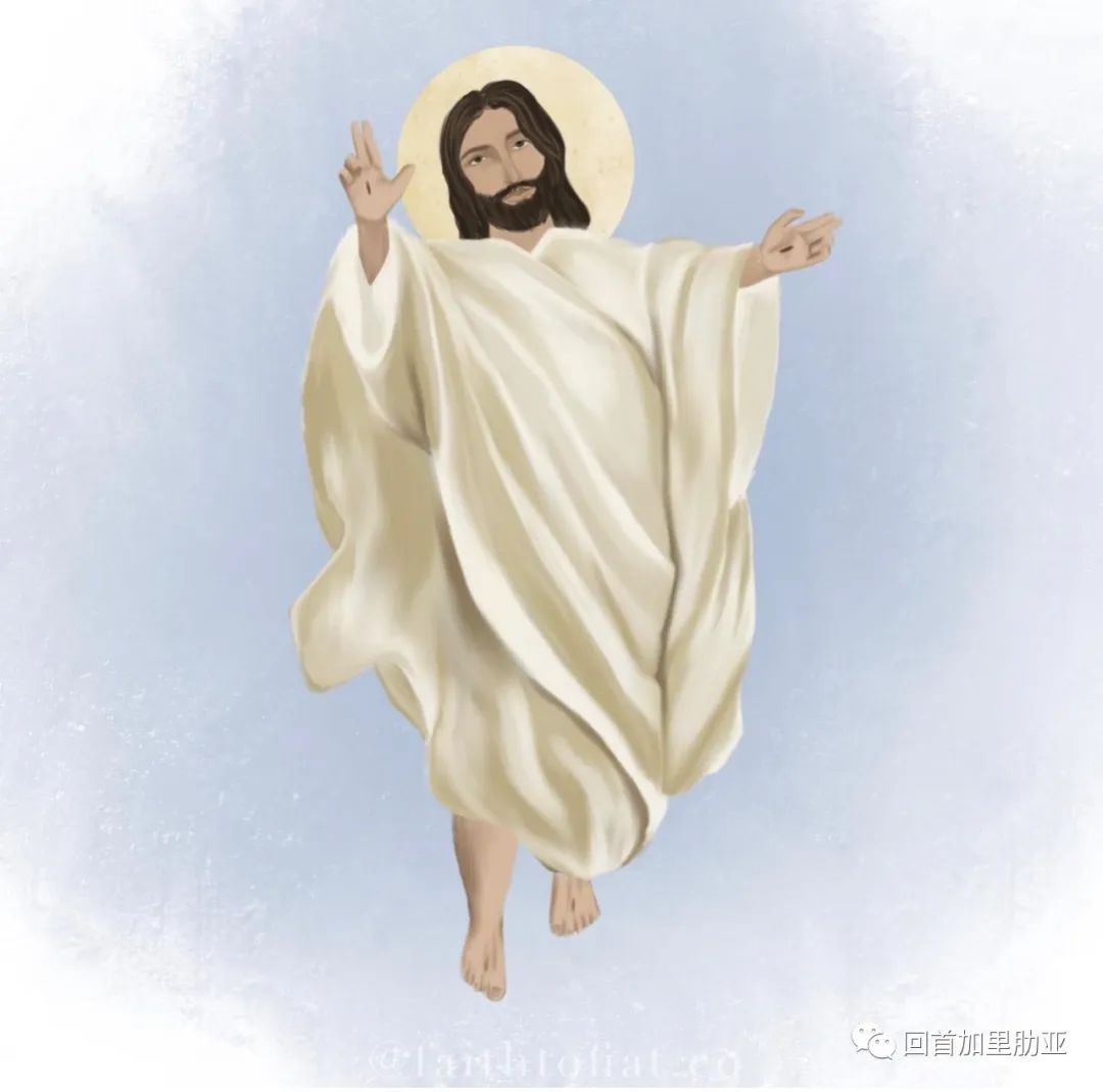 image.jpg